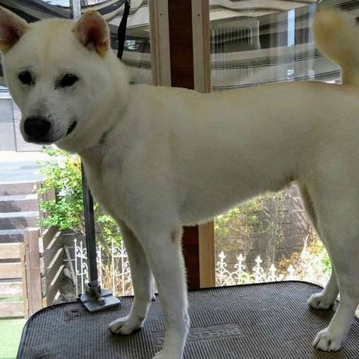 Ac02397e 0cc6 4cf3 9f77 3b723d5336c1