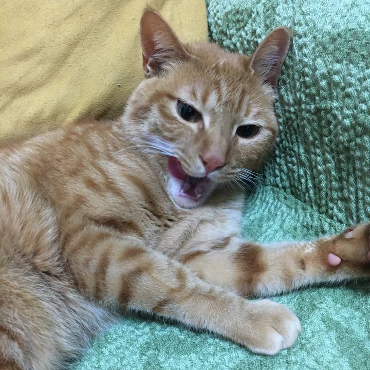 Ac044c9d 8ddb 4bb4 8b48 140dca2598b0