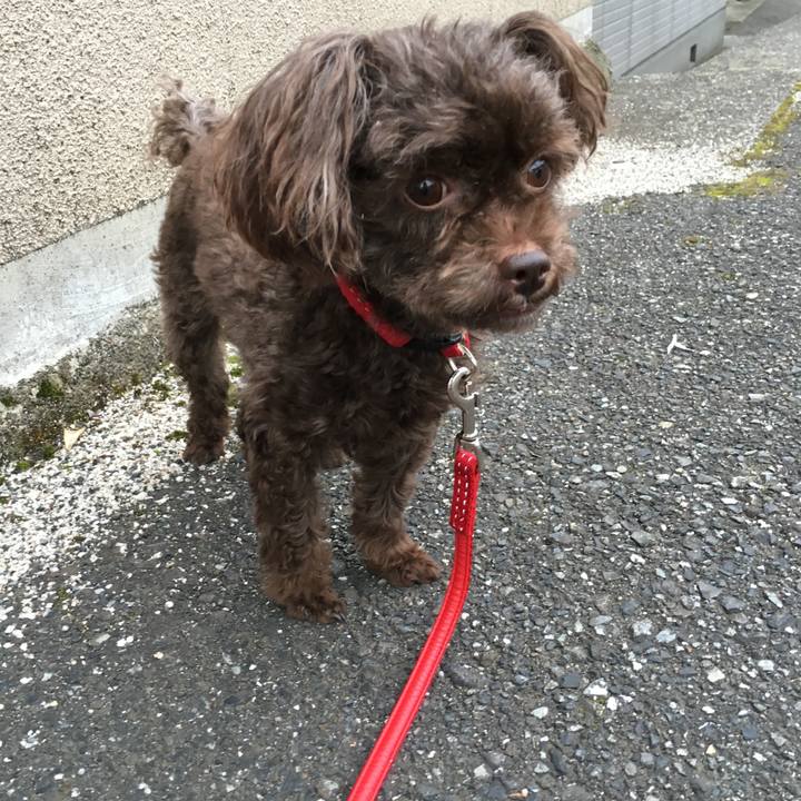 Ac04b37c 7531 4cbb 9b7b 8325c8398429