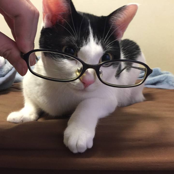 Ac04d825 535b 425e 8d61 50742c75406e