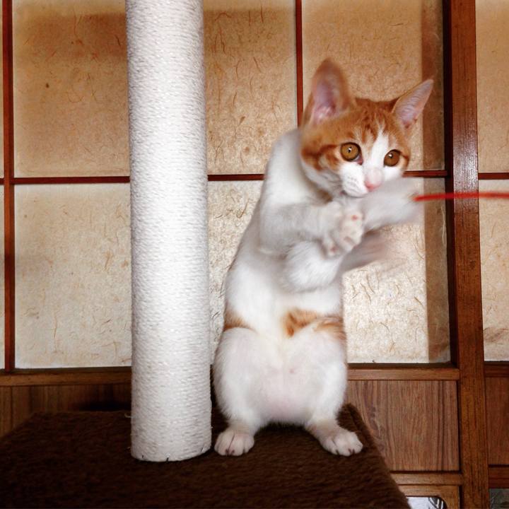 Ac05e991 f337 44f4 a2a7 d1a53ec97fe5