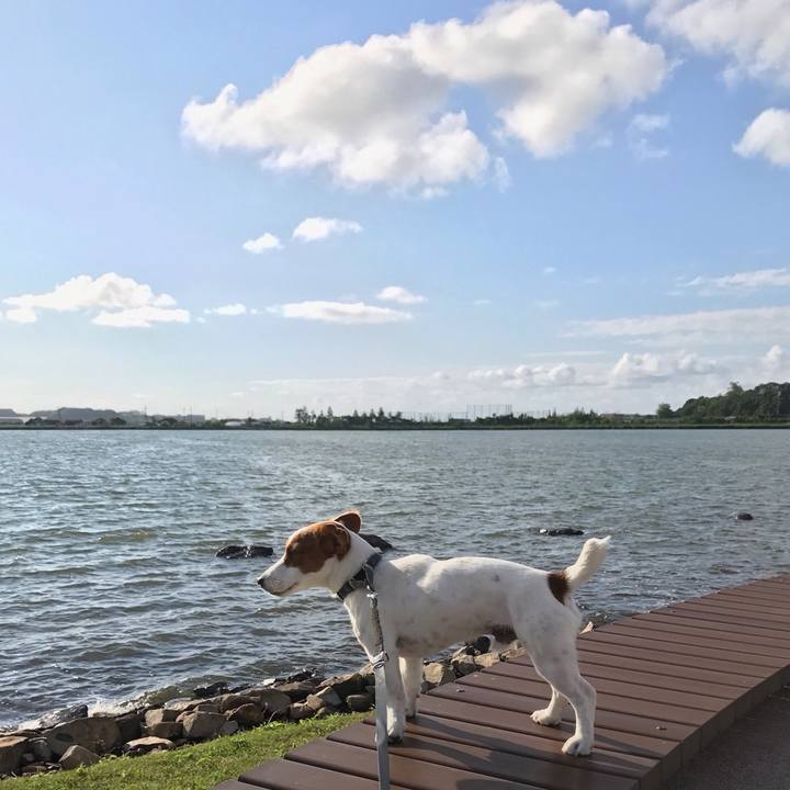 Ac06d525 b3f1 4b5d 9171 659767317685