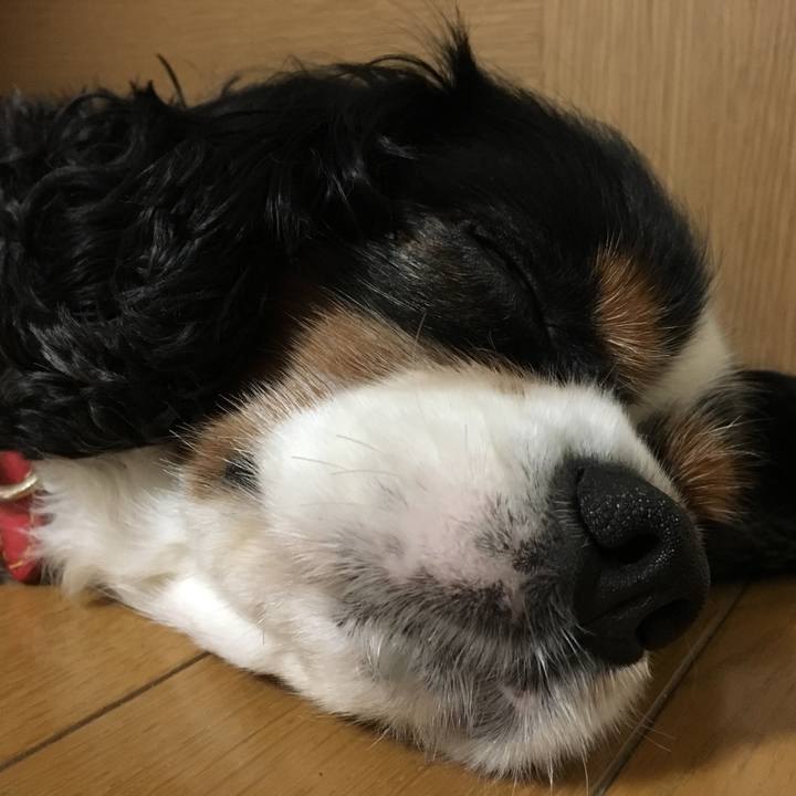 Ac07c7eb 71d9 48c2 87d0 37bf8409894c