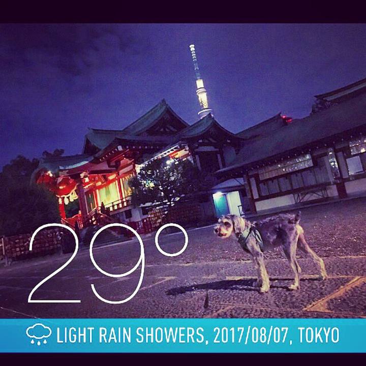 Ac093045 aa81 46e2 97da cf4563f15f36