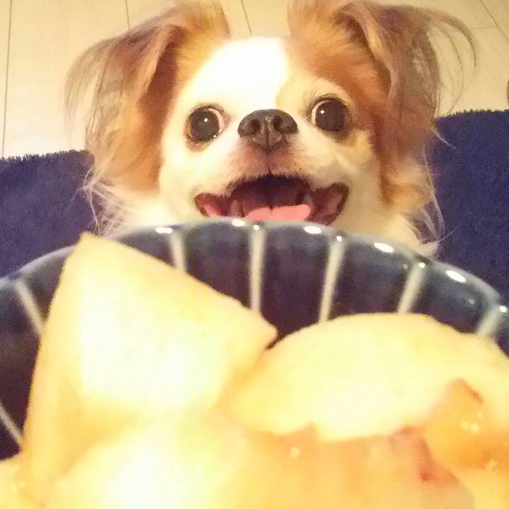 Ac097aa3 4c2b 446b bba7 4fcc289e6be4