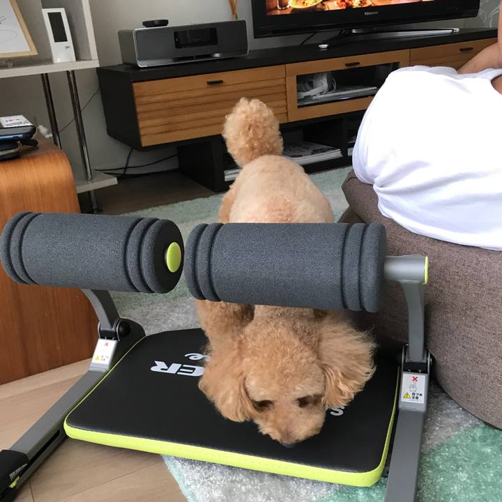 Ac0a129d 744a 447b abce 6c1fdd3426d4