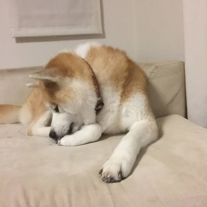 Ac0a88c6 023d 4d42 8b52 deb321c5b34b