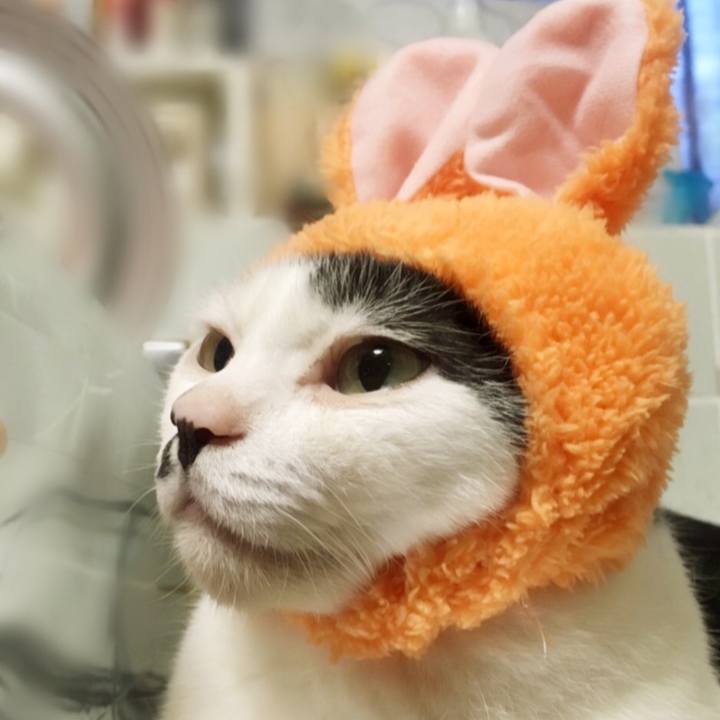 Ac0a96a5 c698 456f a7fc d3952e0de44e