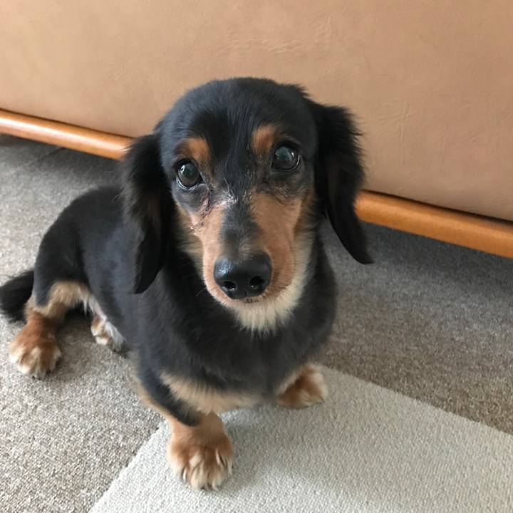 Ac0a9fce 350a 43aa b67a 0fab110cc004