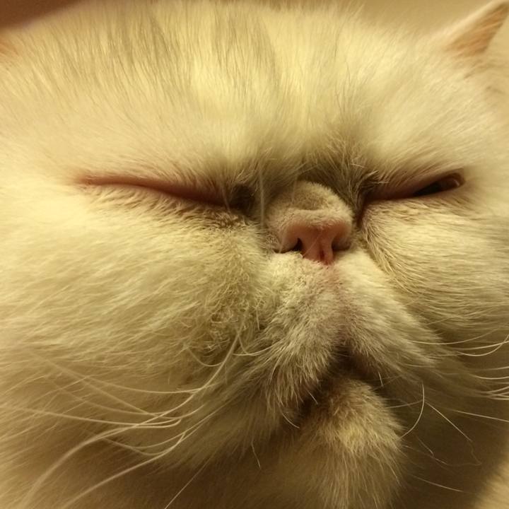 Ac0b20a8 b2a2 49b3 8bed 1f31df56eb27