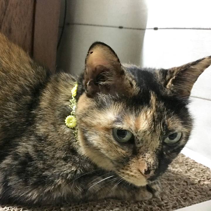 Ac0b2997 e431 46c6 8242 df7dd7c81590