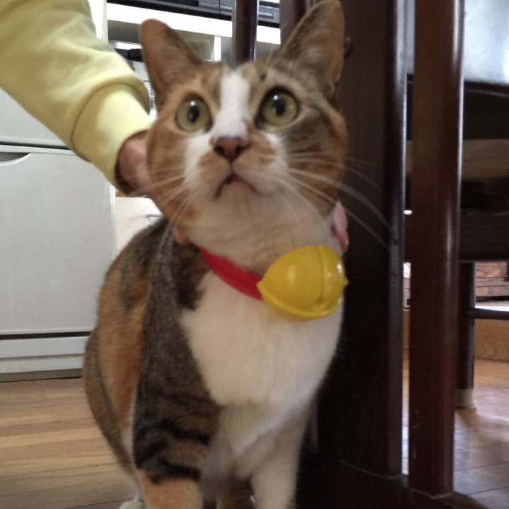 Ac0b31c9 8768 44c2 885a 0fefd8ff9f89