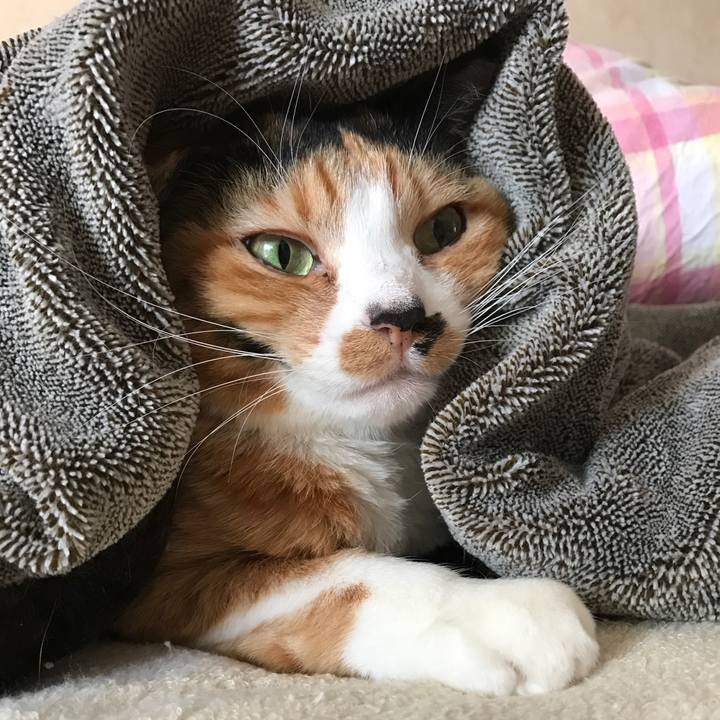 Ac0b5d19 cc33 4b9d a674 42c1d6482bdb