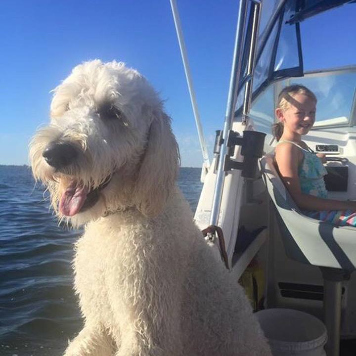 Ac0b6d4e 2c10 4199 bf9a f7269513803b