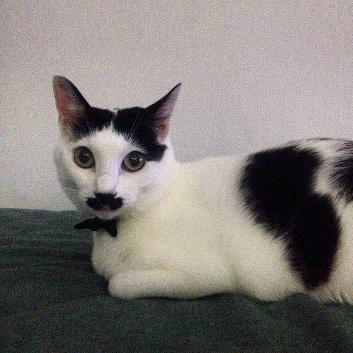 Ac0b9742 fcfe 4c5e 91e6 0dda8727f451