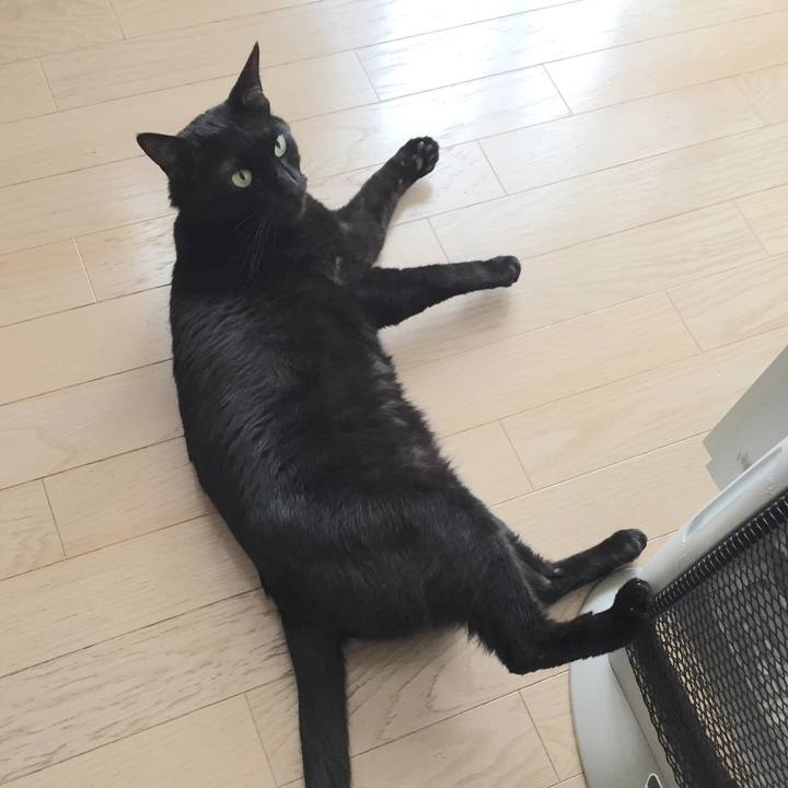 Ac0c6577 96c4 409f 9de3 b04c36fb6bda