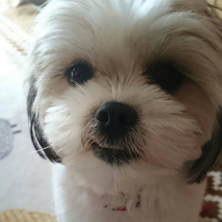 Ac0ce453 e63f 4050 a1c2 7ebdbe5a3169