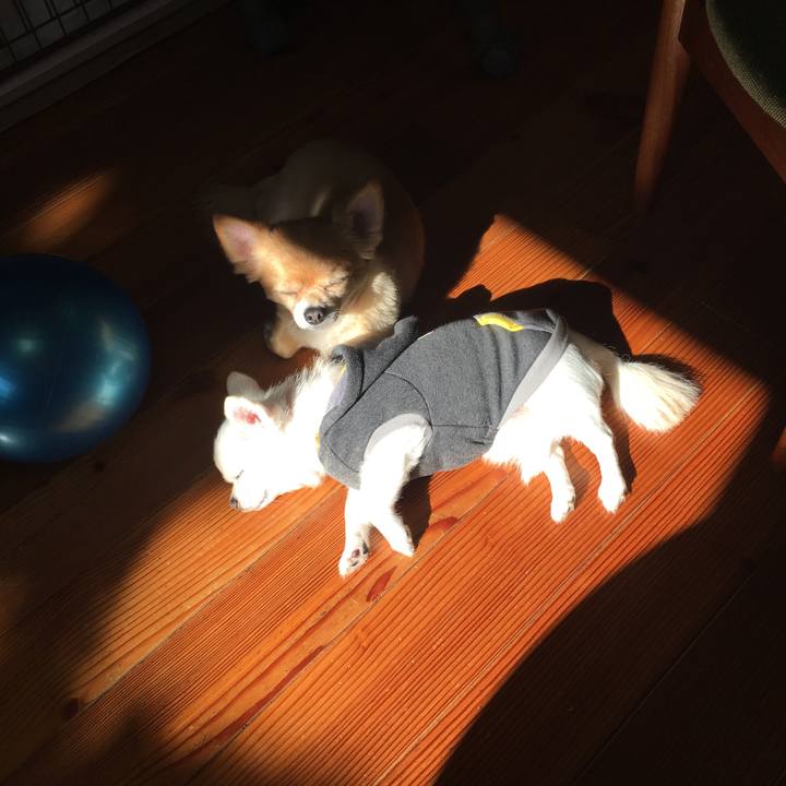 Ac0d3d77 7f3d 46de aade 1c354d9cc4c8