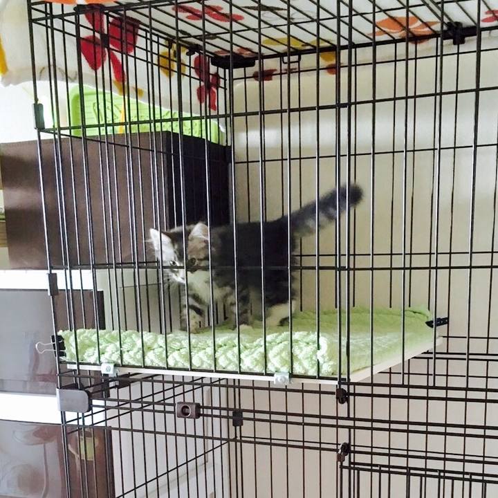 Ac0d7d00 8166 4cb0 83a4 f19d66f49873