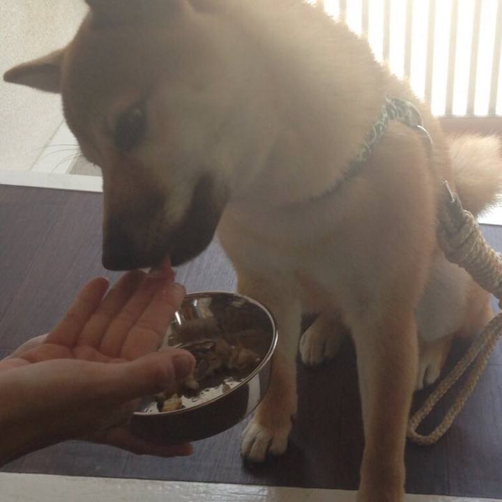 Ac0dcab0 33e7 44e9 89c3 6fe08abe41cb