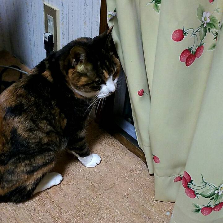 Ac0e6baa 9671 48cf 9302 5f6c95140d4f