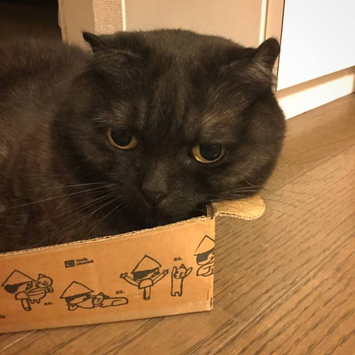 Ac0e7d08 aa2a 4781 bd22 6a7fcf232a62