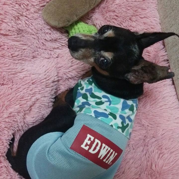 Ac0e93b0 27a6 42da b67d 2cdee6132d56