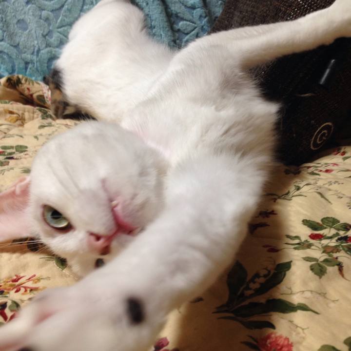 Ac0e95cf 7247 4343 b9b2 e0b380a3d3d6