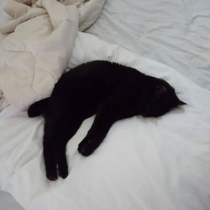 Ac0ea442 194a 4711 9c57 a8c99d078060