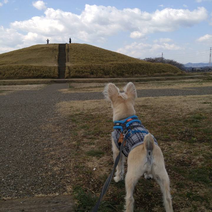 Ac0f46ce 8921 4420 bd20 19191d619d33