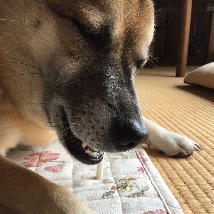 Ac10112c 209c 4757 a7fb 28c3475f7ffe