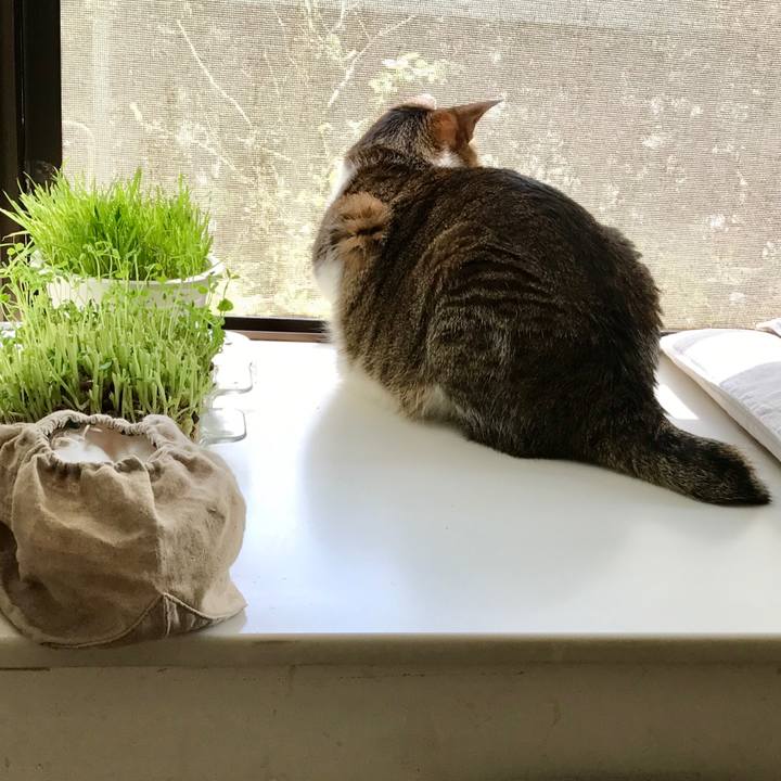 Ac105573 6783 4f60 a8cb 6fcbd9065b2b