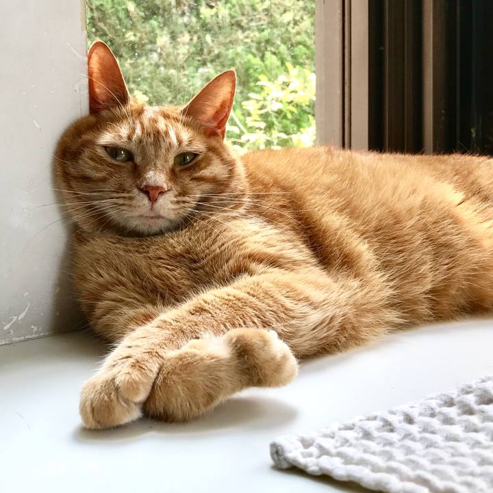 Ac1078fc 2ff6 49e3 a614 b2316a725228