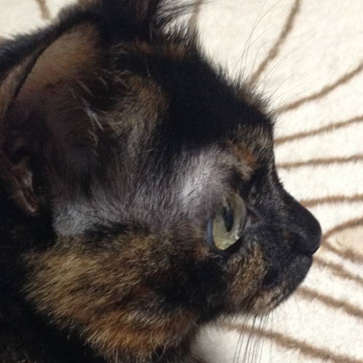 Ac11235e e5d4 411c 98a5 93812d7b3d2c