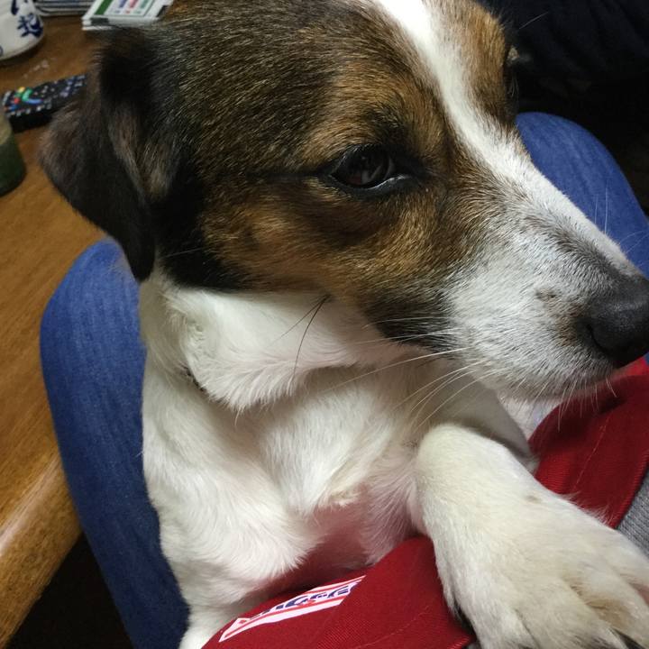 Ac1248f2 a92c 4764 bf37 6bfa4ceb9d3b