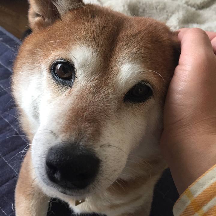 Ac12937b e0b3 404e a5f6 39e1412d0061