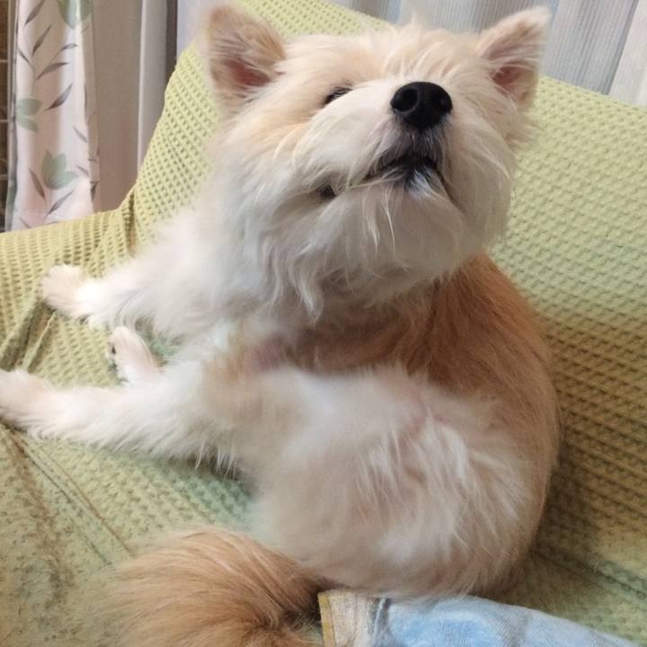 Ac12c82f 4489 48b3 892f dc66c5a79c76