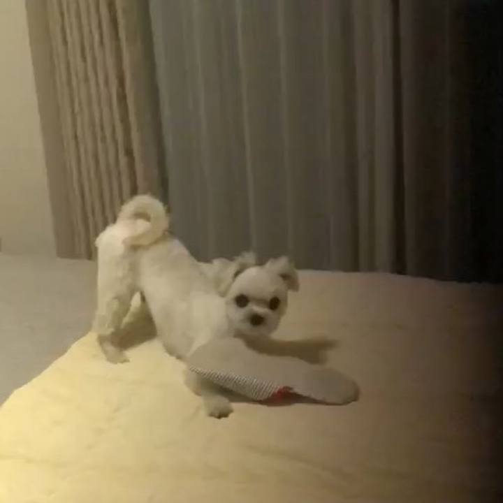 Ac130d2f b5ec 4b31 8304 33113bc7ca31