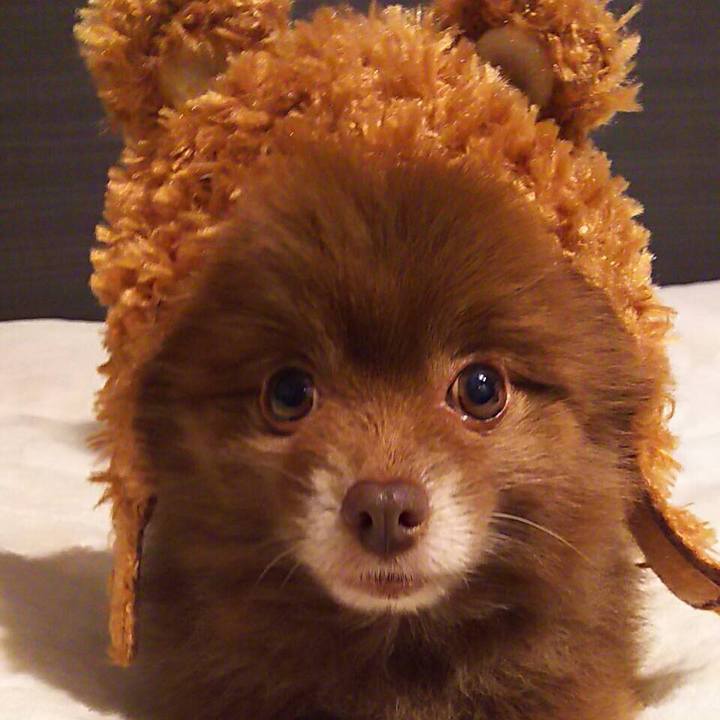 Ac1330be e0e6 4d6c a09a 02f6545016f3