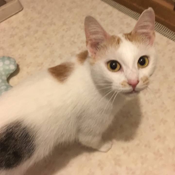 Ac13a33c 646c 492f 9ee0 a7301e3be481