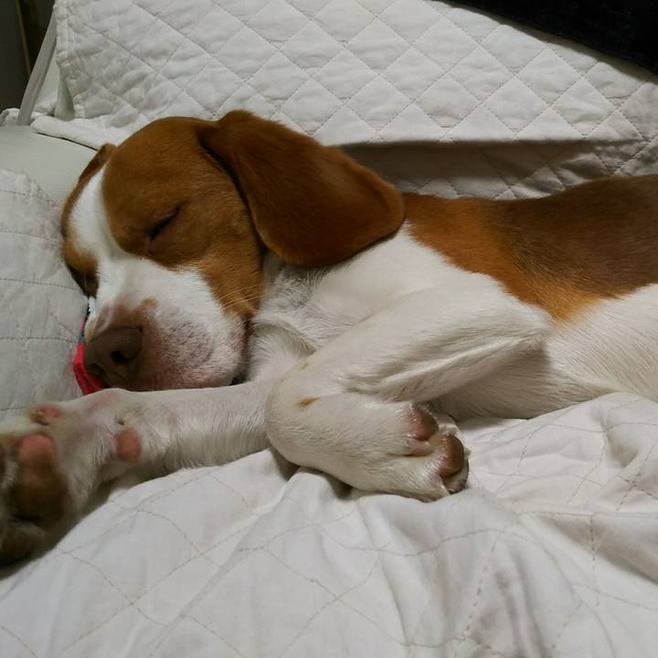 Ac143afb 9fc5 4044 8b34 689621f3c830