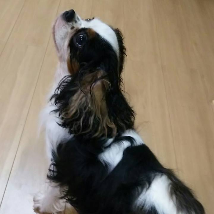 Ac145191 6897 4af8 a3a6 10061f6020c3