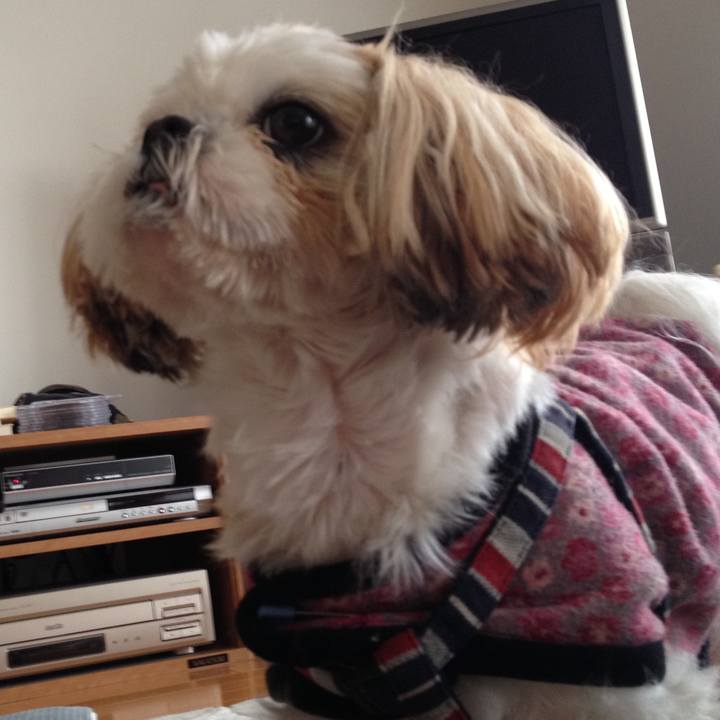 Ac1488cc 6b18 47d3 b97d 3cc4c7e4a03d