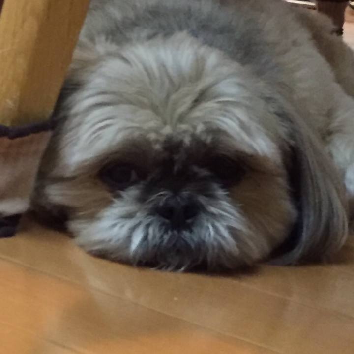 Ac149816 b76e 471f 899d 7bfcd6860943