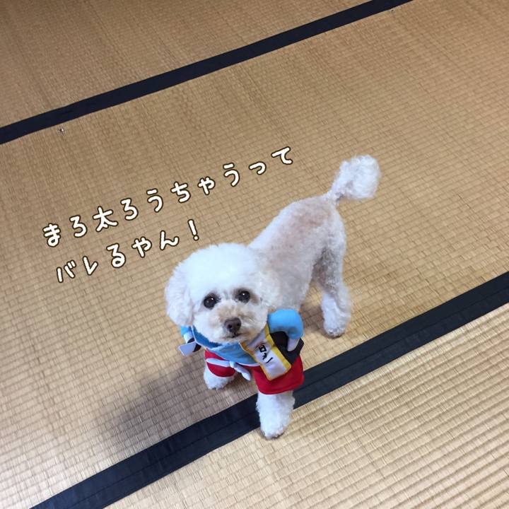 Ac14d004 316a 4c19 95fa aa19519e25f7