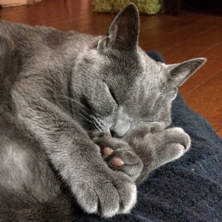 Ac14ec22 ec4f 407c 9d2f 0e7d7a1e89c8