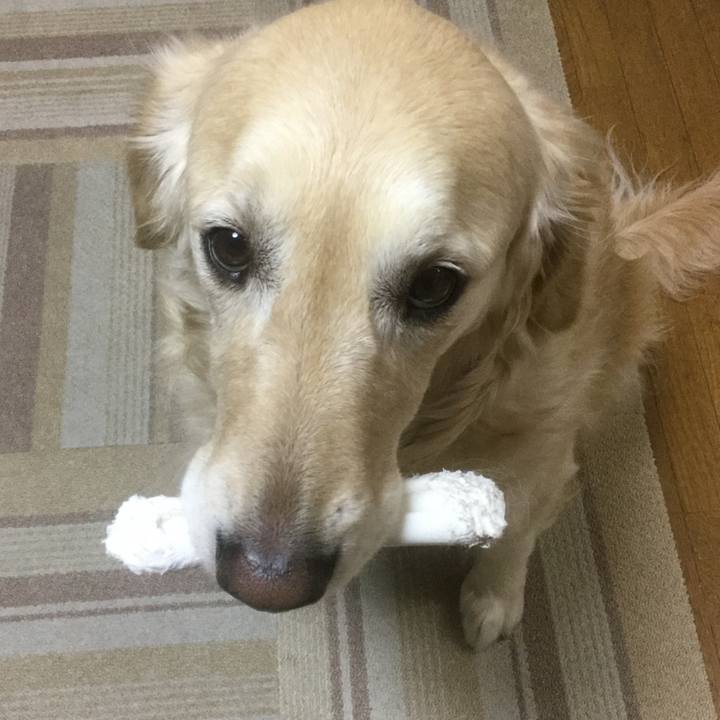 Ac15a697 9786 4f92 a586 1c9ff6348444