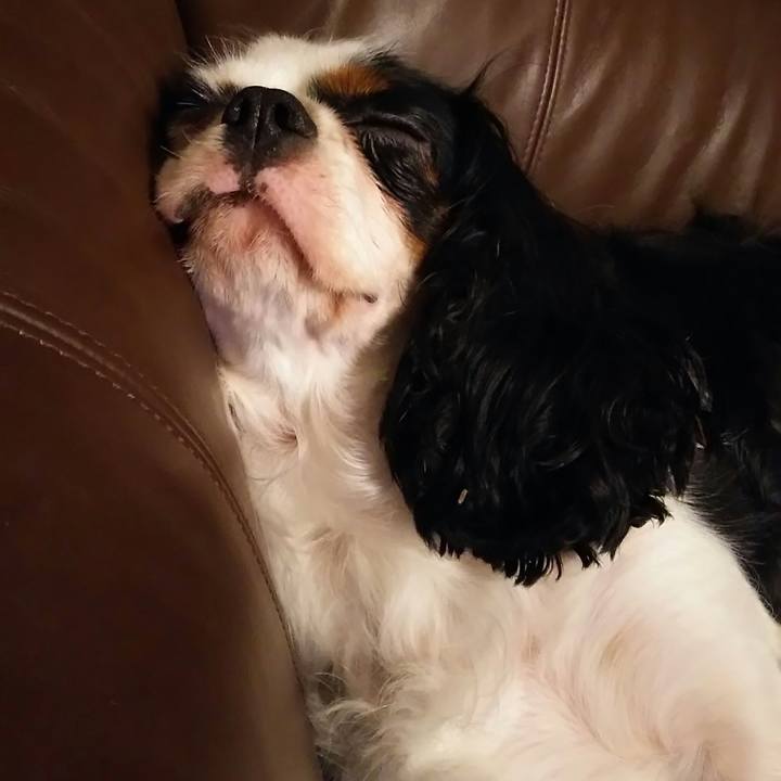 Ac15dfd4 db66 46a3 a2de db2f99c48e34