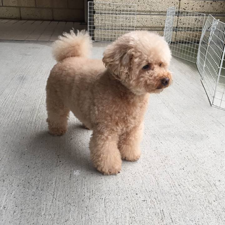 Ac16c352 1daa 4d80 a13b 9f6e7565aac6