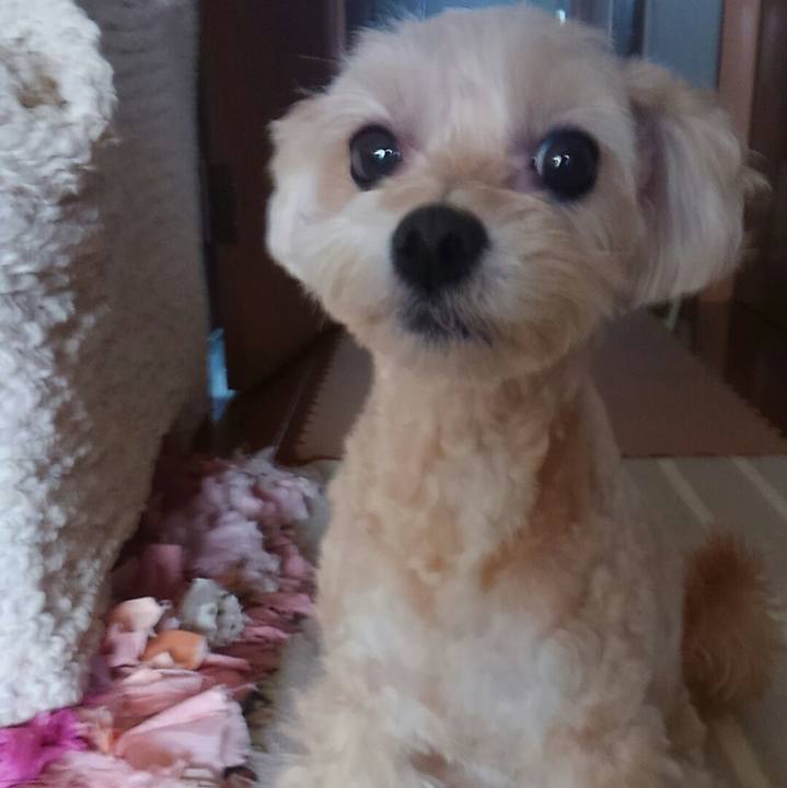 Ac16fe1f 4d74 4138 8c5c 7ab7438386be